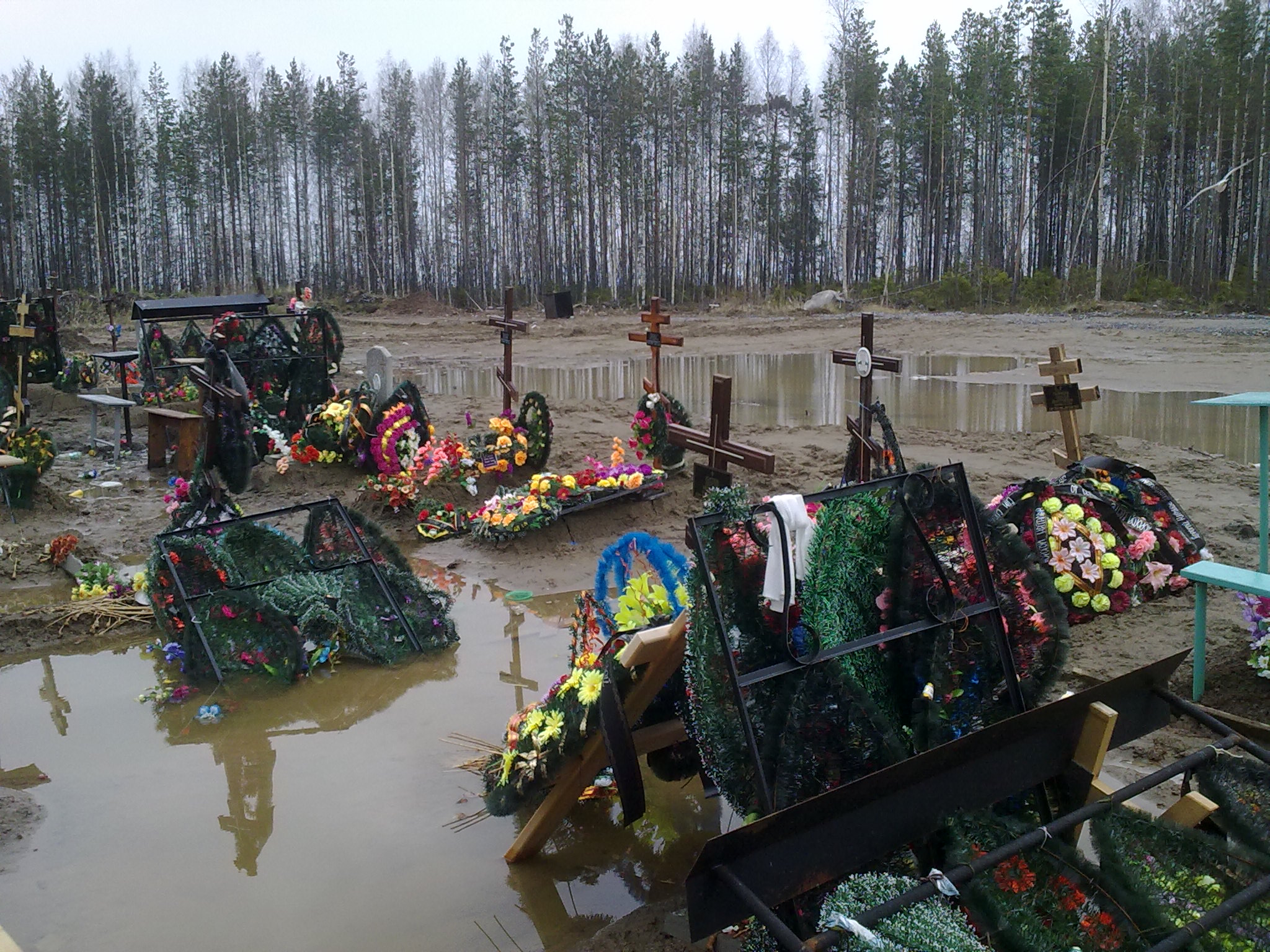 Сколько кладбище. Северодвинск новое кладбище. Северодвинское городское кладбище. Городское кладбище Северодвинск. Старое кладбище Северодвинск.