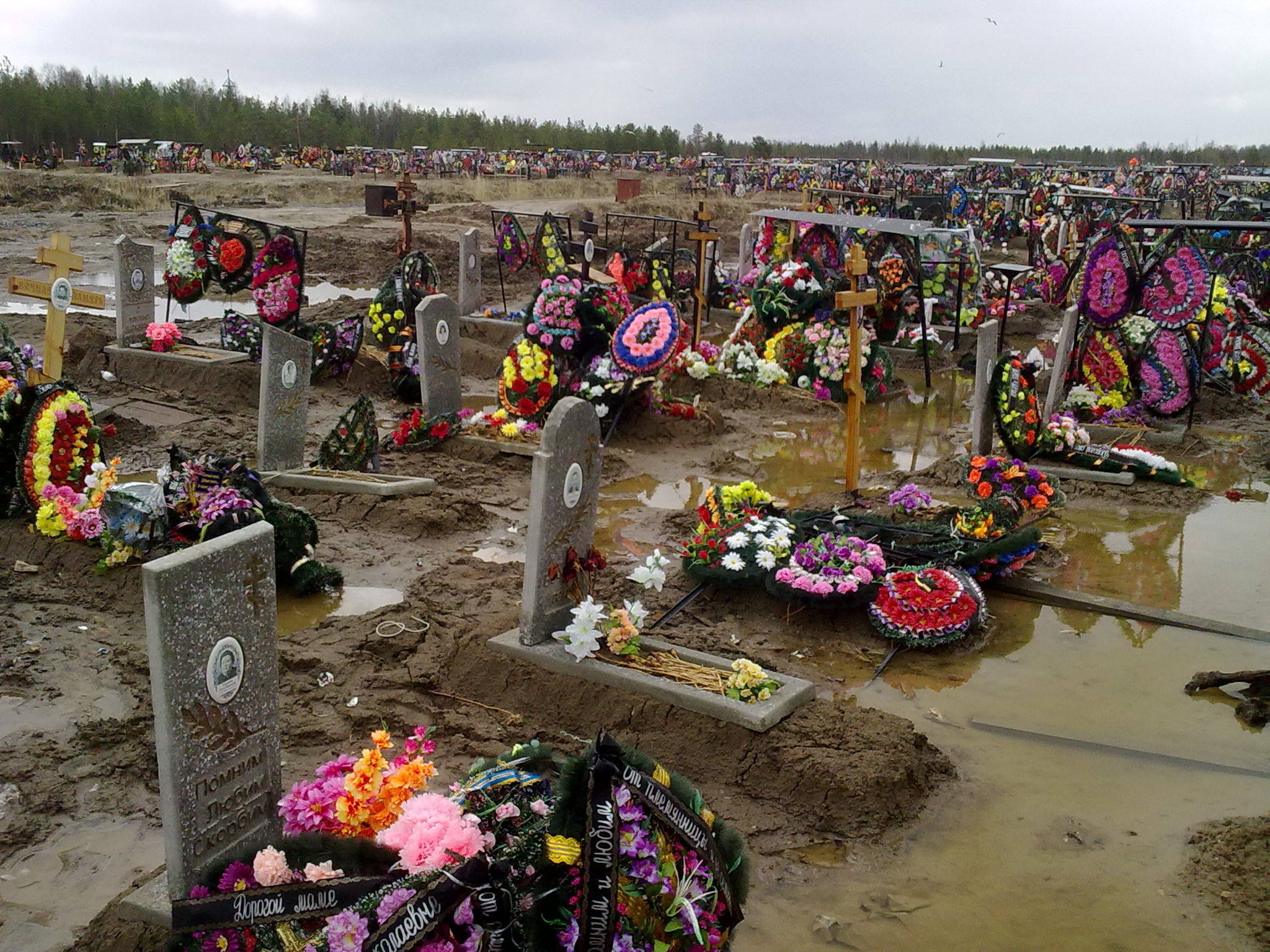 Вновь кладбище. Русское кладбище. Кладбища в России переполнены. Кладбище обычное. Огромное кладбище в России.