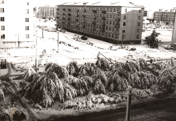 Февраль 1977 года. 2 Мая 1984 Свердловск. Снегопад в Свердловске 1984. Снегопад в Свердловске в мае 1984. Снегопад в Свердловске 2 мая 1984 года.